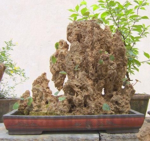 蘭州砂積石盆景